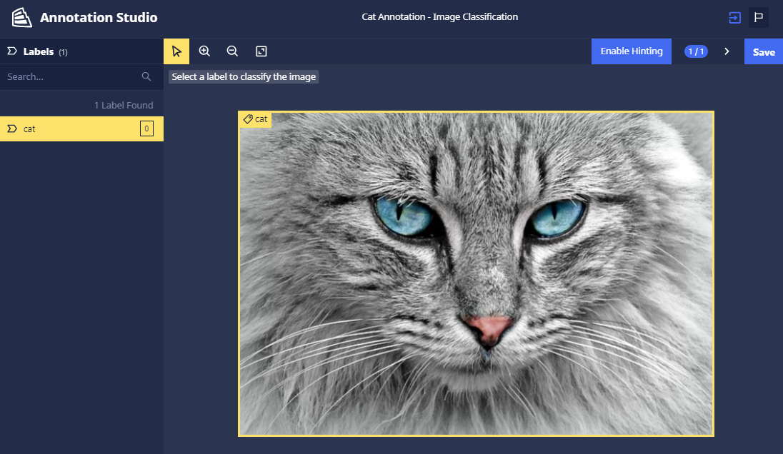 Cat label in Annotation Studio